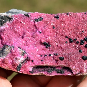 May include: A pink and black mineral specimen with a rough, textured surface. The mineral has a pink, crystalline structure with black inclusions.