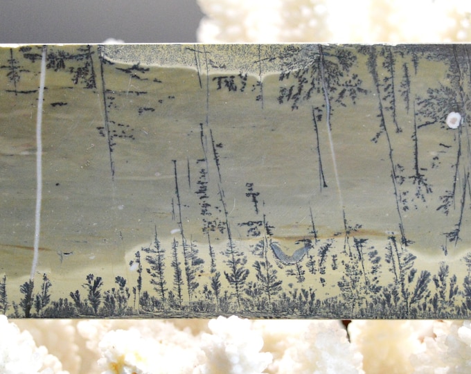 Polished Slice - Landscape Stone 184 mm - Guilin, Guangxi, China
