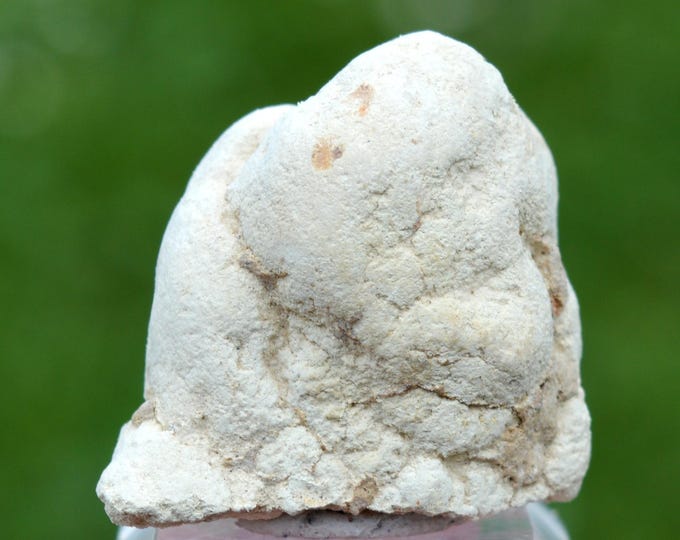 Bukovskýite 13 grams - Kaňk, Kutná Hora, Kutná Hora District, Central Bohemian Region, Czech Republic
