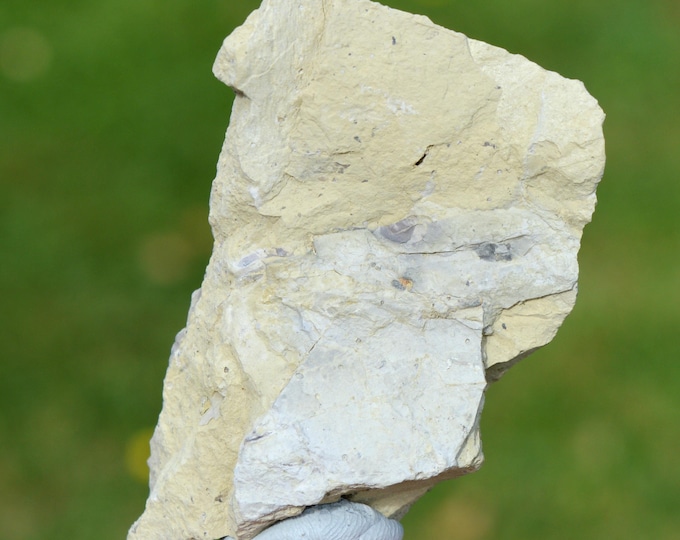 Richellite 47 grams - Richelle, Visé, Liège, Wallonia, Belgium