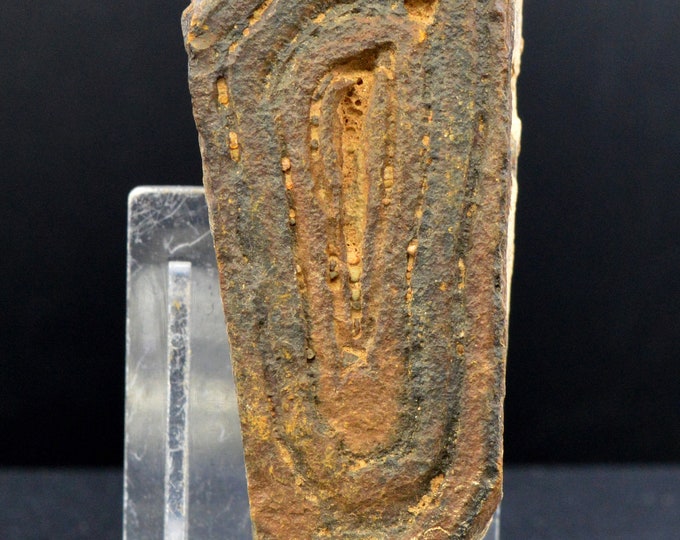 Tsesite 115 grams - Sahara, Algeria