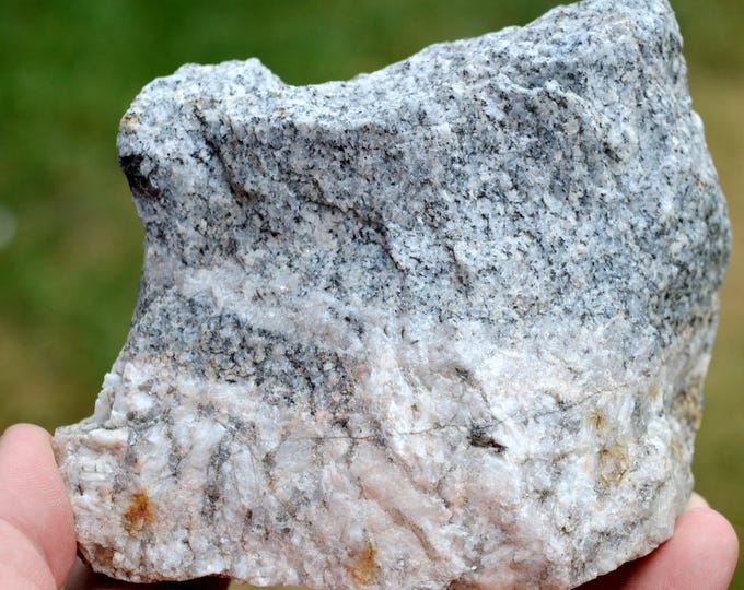 Migmatized ortho-gneiss 780 grams - Cornil, Tulle, Corrèze, Nouvelle-Aquitaine, France