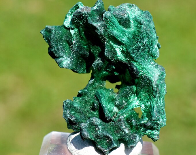 Malachite 47 grams - L'Etoile du Congo Mine, Lubumbashi, Haut-Katanga, DR Congo