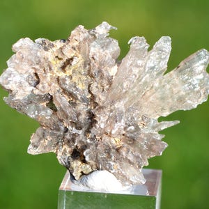 May include: A cluster of clear, crystalline mineral formations with a light brown and grey base. The crystals are translucent and arranged in a radiating pattern, creating a starburst effect. The mineral specimen is mounted on a clear, rectangular stand against a blurred green background.