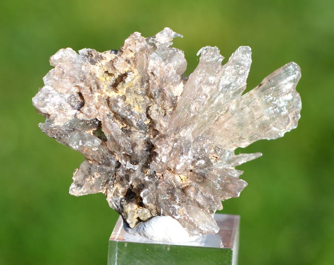 Gypsum 8 grams - Ludes marl quarries, Mailly-Champagne, Reims, Marne, France