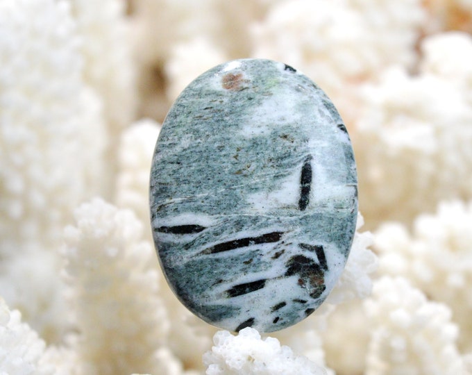 Hornblende & Almandine Garnet 56 carats - cabochon natural stone - Austria / EQ6