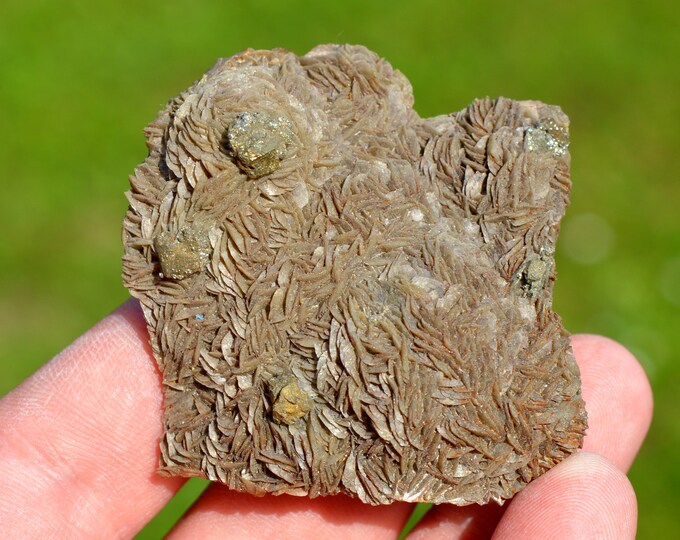 Siderite & Pyrite 85 grams - Peyrebrune, Montredon-Labessonnié, Castres, Tarn, Occitanie, France
