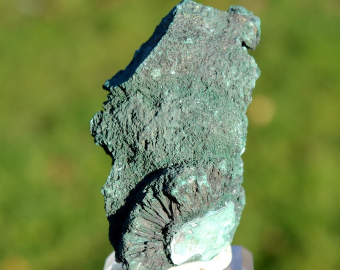 Malachite & Chrysocolla 145 grams - Likasi, Kambove Territory, Haut-Katanga, DR Congo