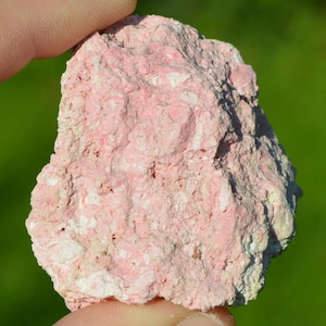 May include: A close-up of a pink and white rock held between fingers. The rock has a rough, textured surface with varying shades of pink and white. The background is a blurred green.