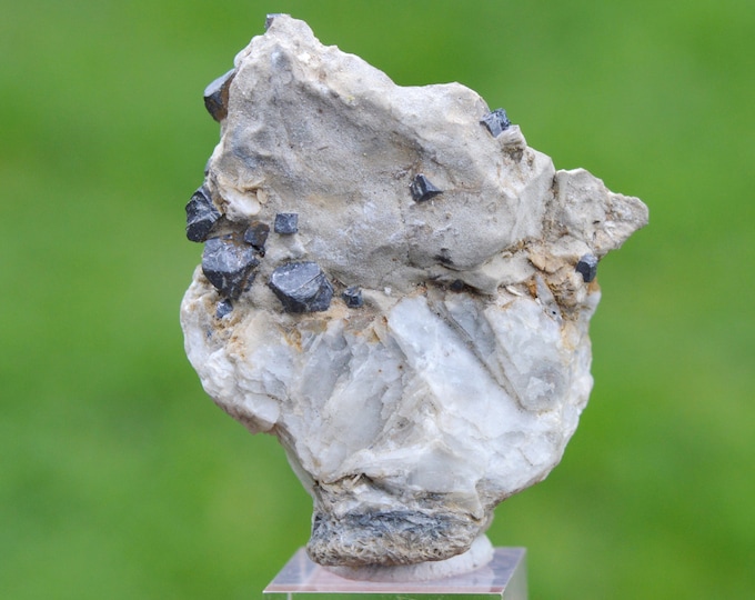 Galena 59 grams - Varese Province, Lombardy, Italy