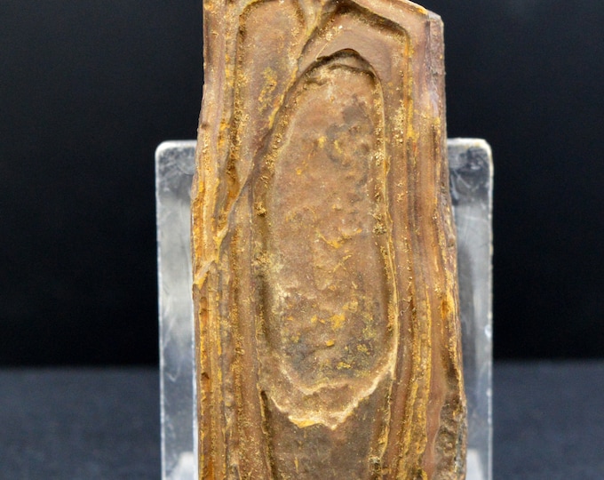 Tsesite 105 grams - Sahara, Algeria