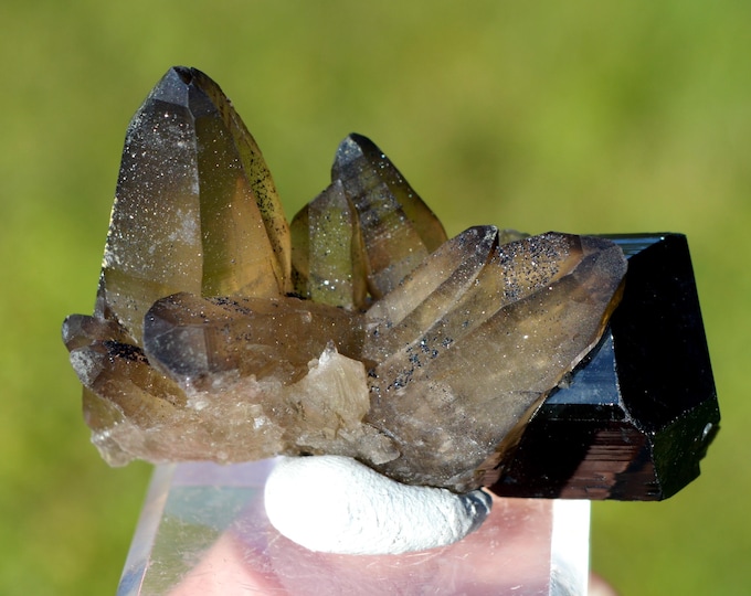 Schorl Tourmaline & Smoky Quartz 48 grams - Erongo Mountains, Karibib, Erongo Region, Namibia