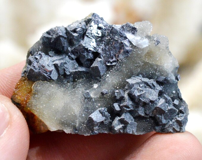 Galena & Chalcedony 34 grams - Le Buisson Mine, Montmirat, Saint-Étienne-du-Valdonnez, Mende, Lozère, Occitanie, France
