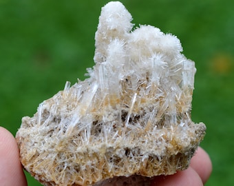 Gypsum 31 grams - Pernatty Lagoon, Pernatty, Pastoral Unincorporated Area, South Australia, Australia