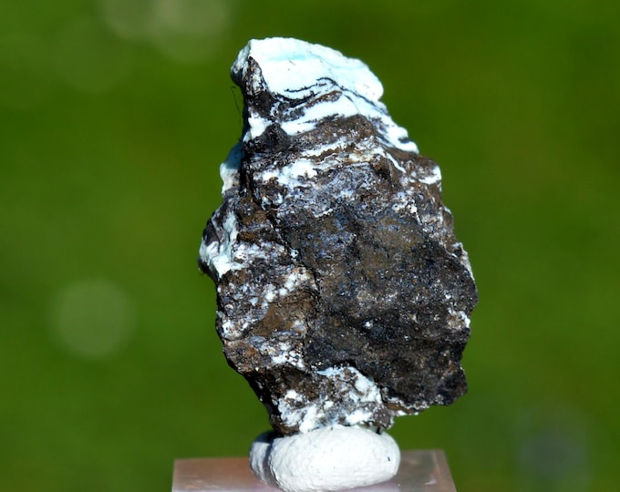 Tenorite 6.5 grams - Neardy Mine, Mutare District, Manicaland, Zimbabwe