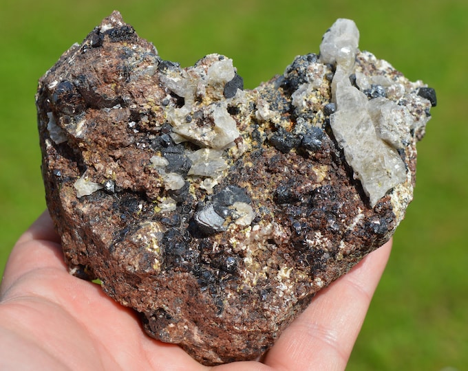 Garnet var. Andradite & Magnetite Scapolite 740 grams - Feilluns, Prades, Pyrénées-Orientales, Occitanie, France
