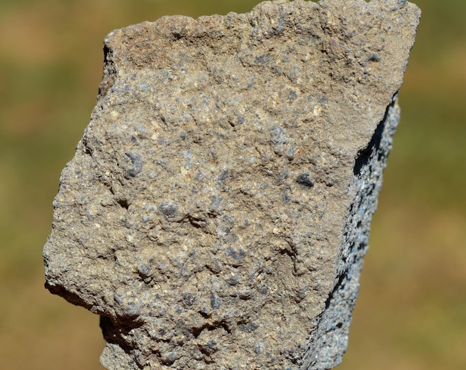 Pyroclastic flow 133 grams - Coustoune Stream, Cantal, France