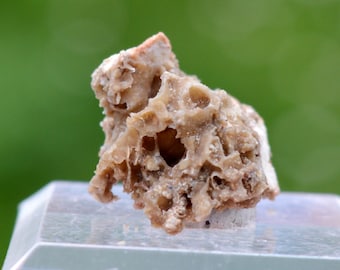Millosevicite 1,3 grammi - Miniera di Kladno, Libušin, distretto di Kladno, Boemia centrale, Repubblica Ceca