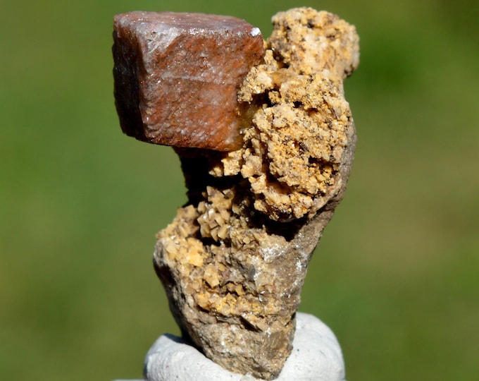Calcite & Dolomite 19 grams - Namêche, Andenne, Namur, Wallonia, Belgium