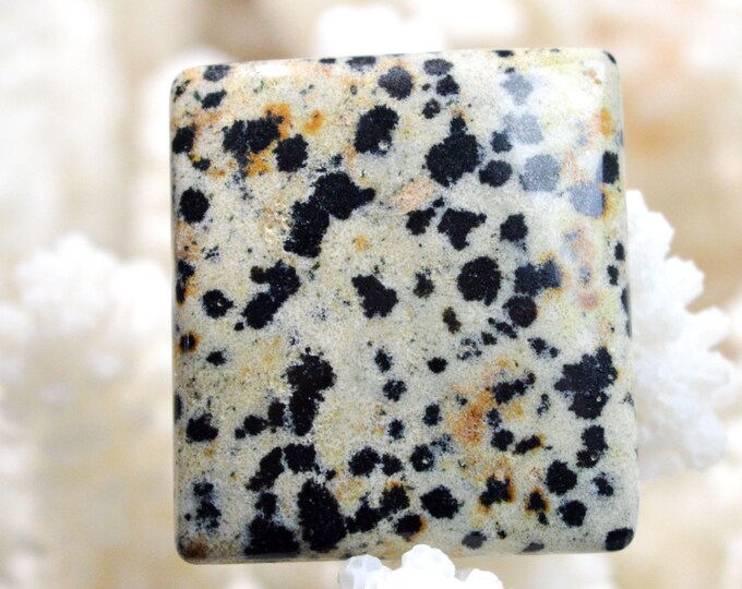 Jaspe dalmatien 41 carats - cabochon pierre naturelle - Mexique // REF AW23