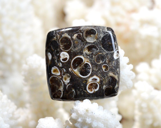 Turitella agate 45 carats - natural stone cabochon pendant - USA / EF6