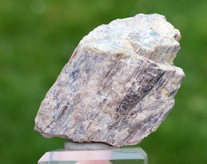 Staurolite 113 grams - Saint-Chély-d'Apcher, Mende, Lozère, Occitanie, France