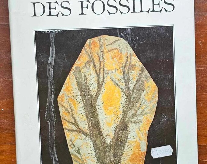 The Great Encyclopedia of Fossils - Gründ 1990 Third Edition - Used