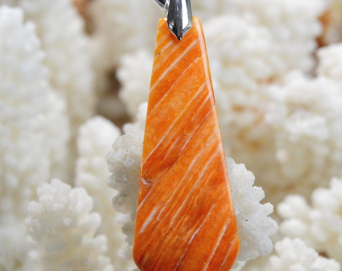 Spiny Oyster - Spondylus - 33 carats - natural shell cabochon pendant - Mexico / FR46