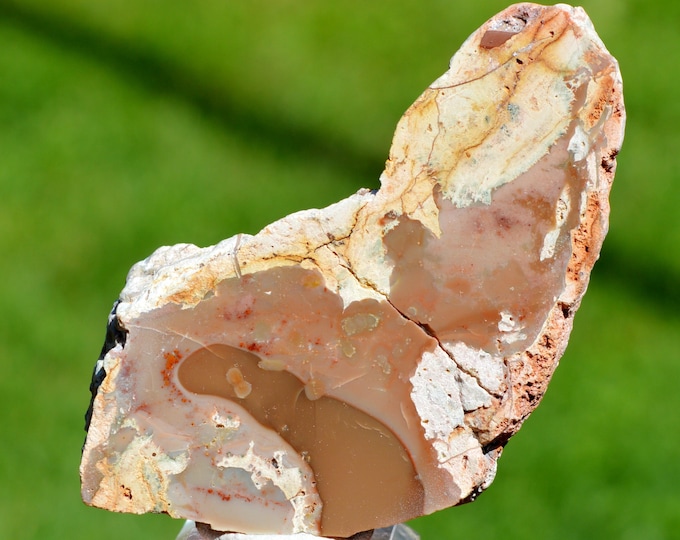 Chalcedony var. agate & Quartz "Lithophyse" 70 grams - Esterel Massif, Var, France