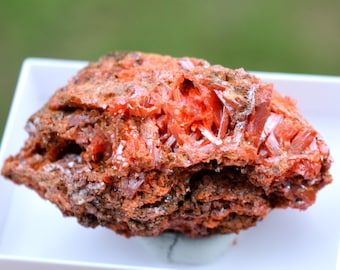 Crocoite 67 grams - Dundas mineral field, Zeehan District, West Coast municipality, Tasmania, Australia