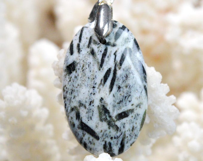 Hornblende & 30-carat Almandine Garnet - Natural Stone Cabochon Pendant - Austria / FZ12