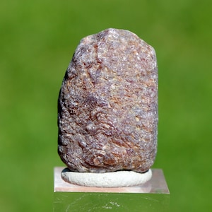 Könnte beinhalten: Ein rauer, rotbrauner Edelstein mit strukturierter Oberfläche. Der Stein wird auf einem kleinen, weißen, kreisförmigen Sockel präsentiert, der auf einem transparenten, rechteckigen Ständer steht. Der Hintergrund ist ein verschwommenes Grün.