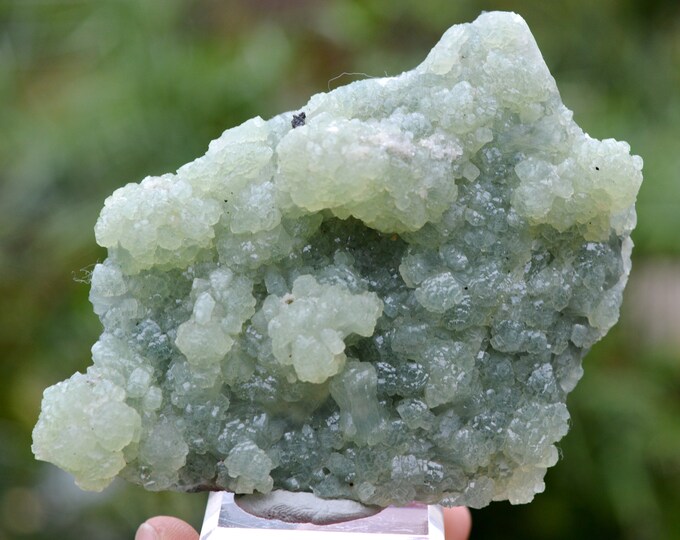 Prehnite - 245 grams - Boulmane-Dadès Circle, Tinghir Province, Drâa-Tafilalet Region, Morocco
