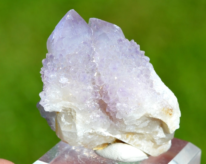 Cactus Amethyst 49 grams - Boekenhoutshoek area, Mkobola, Nkangala District, Mpumalanga, South Africa