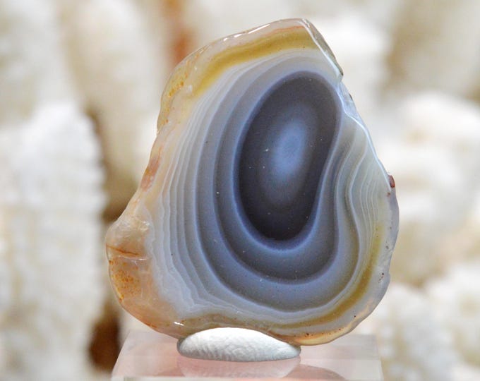 Agate 14 grams - Bobonong Subdistrict, Central District, Botswana - FT26