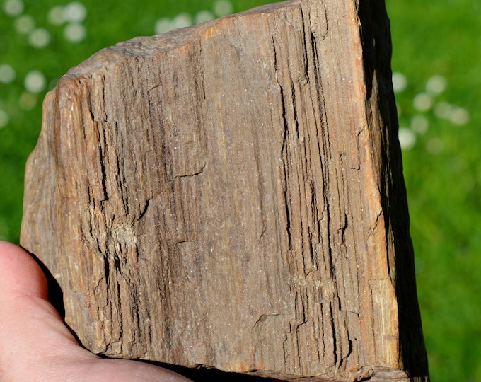Fossil wood & Quartz 2040 grams - Böhlen lignite mine, Böhlen, Leipzig District, Saxony, Germany