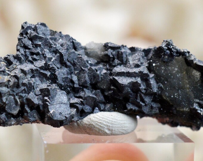 Galena & Chalcedony 31 grams - Le Buisson Mine, Montmirat, Saint-Étienne-du-Valdonnez, Mende, Lozère, Occitanie, France