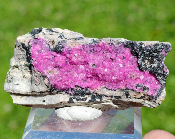 Cobaltocalcite & Heterogenite - 37 grams - Mashamba West Mine, Kolwezi mining district, Lualaba, DR Congo