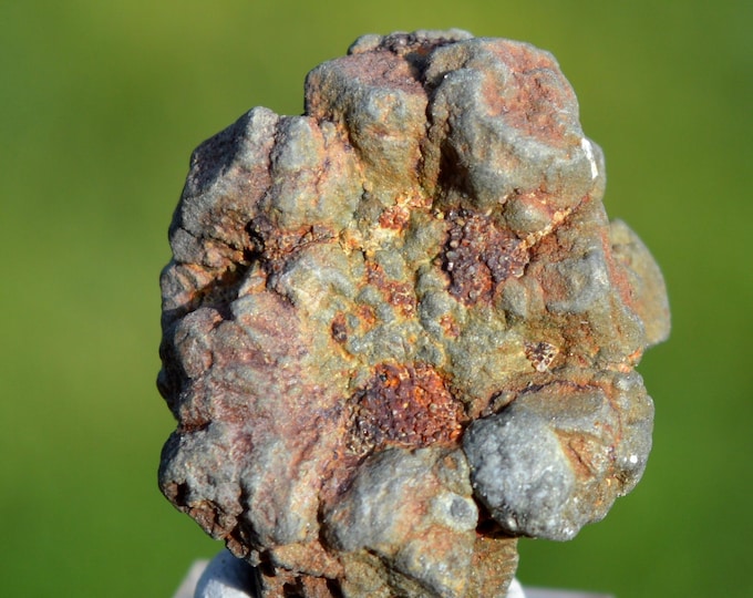 Marcasite and/or Pyrite 17 grams - Cap Blanc-Nez, Escalles, Calais, Pas-de-Calais, Hauts-de-France, France
