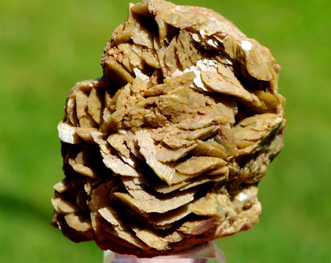 Siderite 277 grams - Le Burg Mine (Le Burc Mine), Paulinet, Albi, Tarn, Occitanie, France