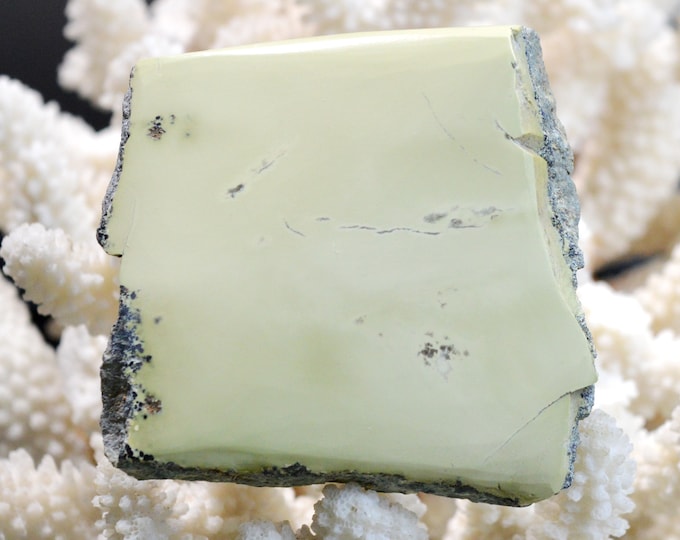 Slice - Noble Serpentine 144 grams - Susa Valley, Metropolitan City of Turin, Piedmont, Italy