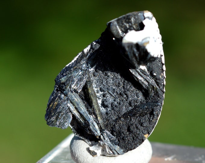 Vivianite & Fossil Shell 8 grams - Chernomorsky mine, Russia