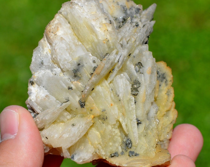 Baryte & Fluorite Marcasite - 511 grams - Fontsante Mine, Tanneron, Draguignan, Var, Provence-Alpes-Côte d'Azur, France
