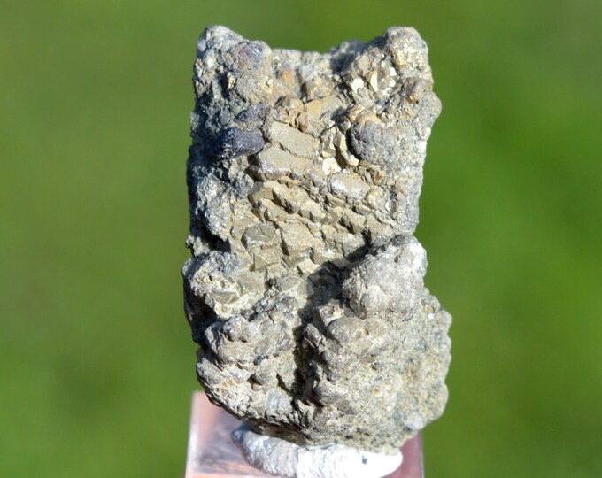 Marcasite and/or Pyrite 22 grams - Cap Blanc-Nez, Escalles, Calais, Pas-de-Calais, Hauts-de-France, France