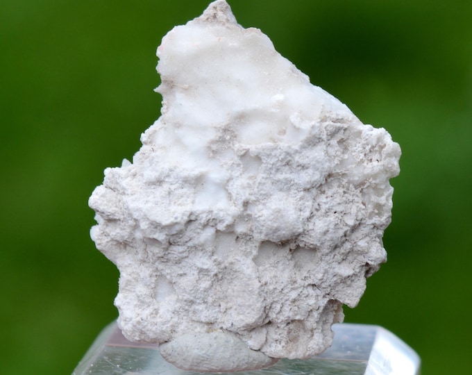 Cotunnite 5.6 grams - Solfatara di Pozzuoli, Pozzuoli, Metropolitan City of Naples, Campania, Italy