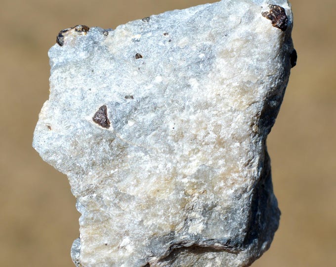 Talc & Pyrite 102 grams - Luzenac, Foix, Ariège, Occitanie, France
