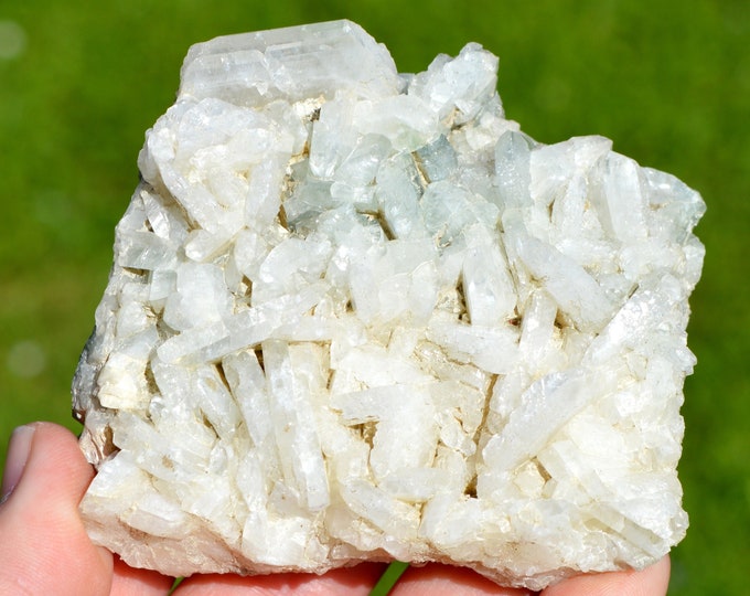 Albite & Chlorite 270 grams - Ubaye Valley, Provence-Alpes-Côte d'Azur, France
