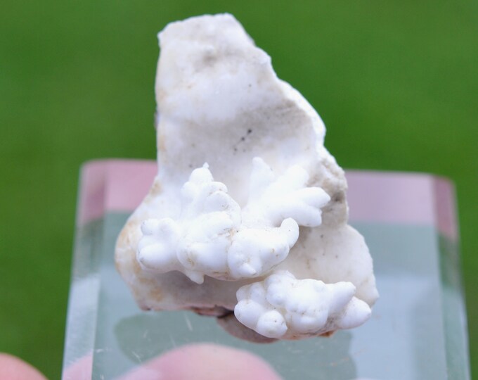 Aragonite "Flos Ferri" 8 grams - Green Fir Mine, Altenberg, Ste Marie-aux-Mines, Colmar-Ribeauvillé, Haut-Rhin, Alsace, France