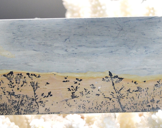 Polished Slice - Landscape Stone 144 mm - Guilin, Guangxi, China