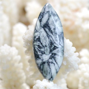 Pinolite 25 carats - cabochon pierre naturelle - Autriche / EE43